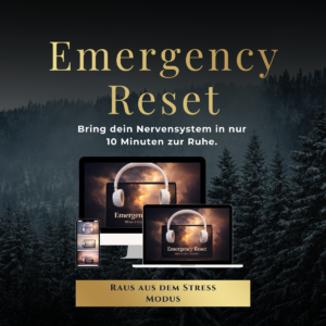 Emergency Reset [Digital]